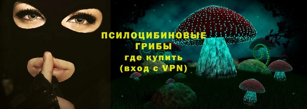ешки Пестово