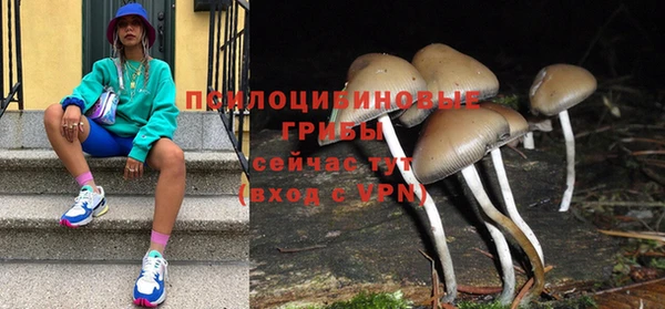 ешки Пестово
