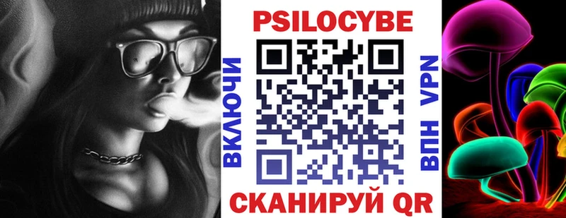 MEGA зеркало  Тосно  Псилоцибиновые грибы Psilocybe  закладки 