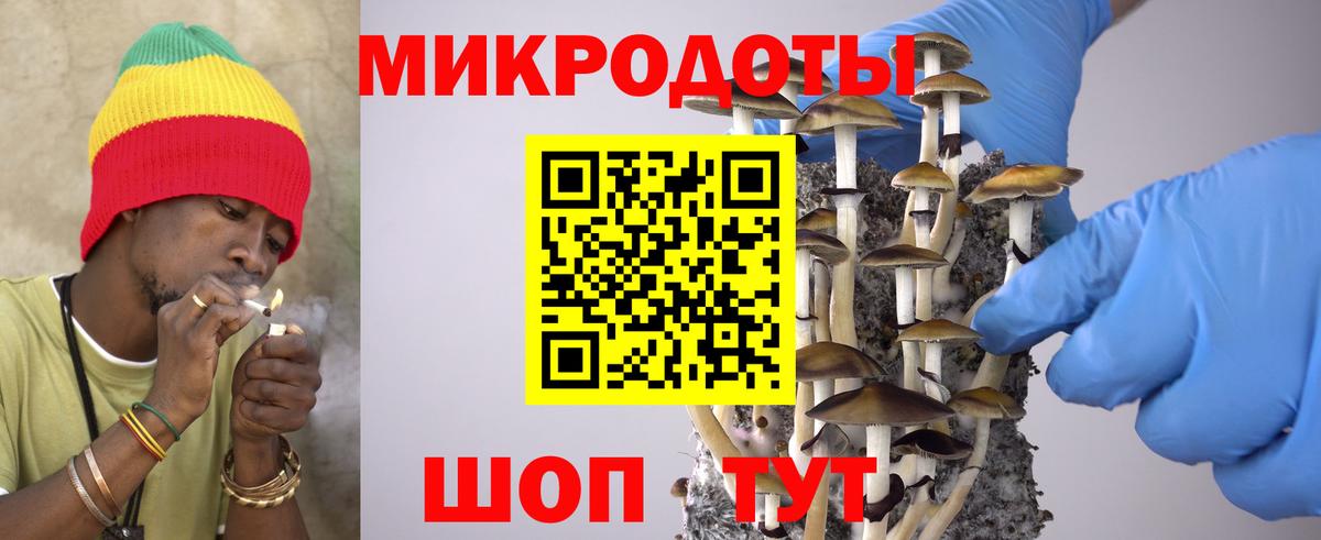 хочу   Вход с VPN  Тосно  Галлюциногенные грибы Psilocybine cubensis  Псилоцибиновые грибы Psilocybine cubensis 